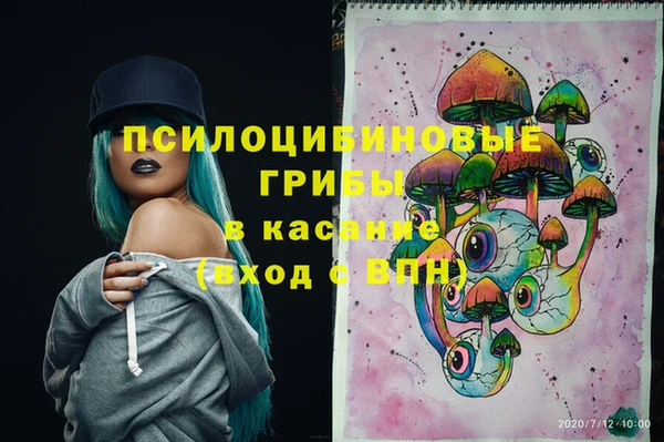 кокс Богородицк