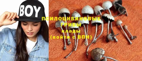 дурь Богданович