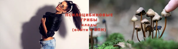 герыч Богородск