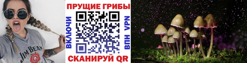 Псилоцибиновые грибы ЛСД цена наркотик Братск